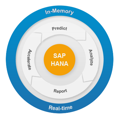 SAP HANA In Memory Technology